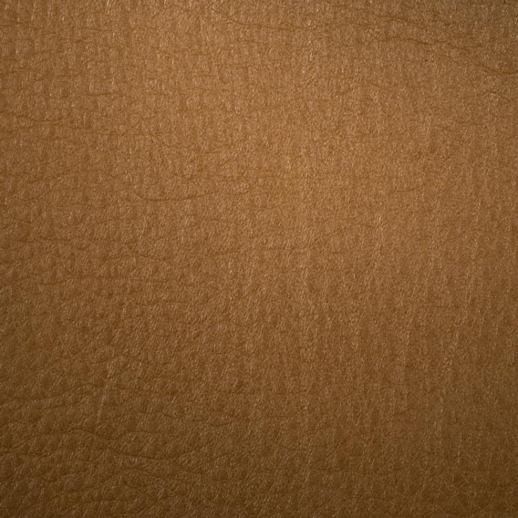 C317LR24.jpg