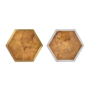 Tortoise Shell - Hexagon