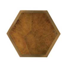 Tortoise Shell - Hexagon <br/> Antique Brass