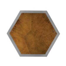 Tortoise Shell - Hexagon <br/> Polished Nickel